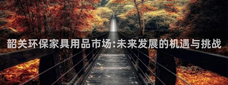 沐鸣2代理主管qq：韶关环保家具用品市场:未来发展的机遇与挑