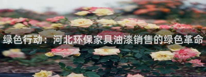 沐鸣2平台登录首页：绿色行动：河北环保家具油漆销售的绿色革命