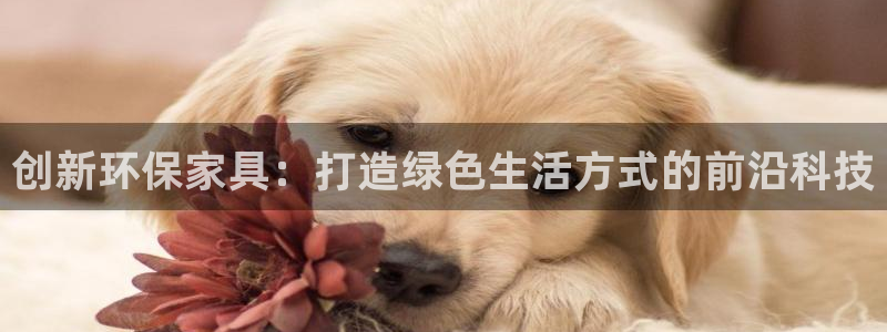 沐鸣2代理登录中心怎么进：创新环保家具：打造绿色生活方式的前
