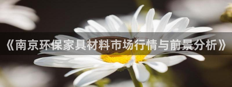 沐鸣2平台注册：《南京环保家具材料市场行情与前景分析》