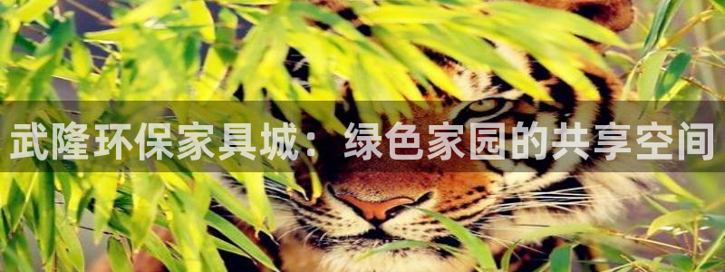 沐鸣2平台代理注册：武隆环保家具城：绿色家园的共享空间