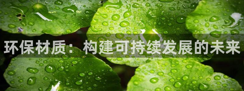 沐鸣2平台服务中心怎么样