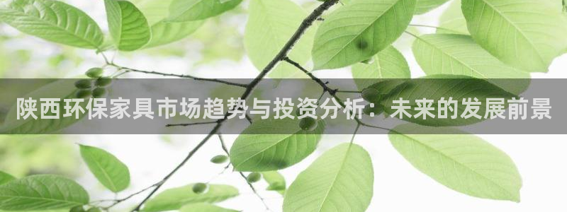 沐鸣2注册主管：陕西环保家具市场趋势与投资分析：未来的发展前