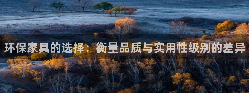 沐鸣2代理主管qq：环保家具的选择：衡量品质与实用性级别的差