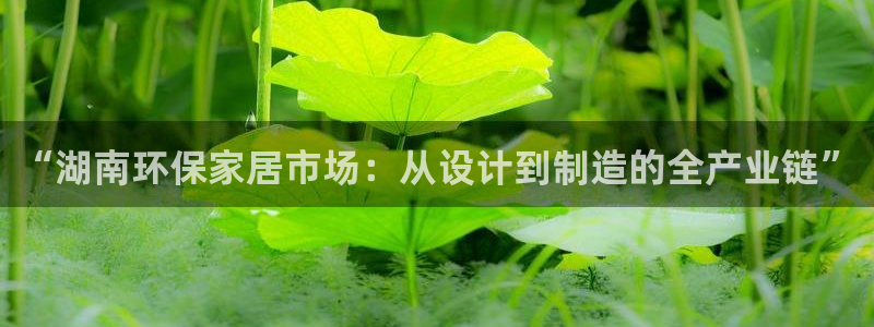 沐鸣2注册主管：“湖南环保家居市场：从设计到制造的全产业链”