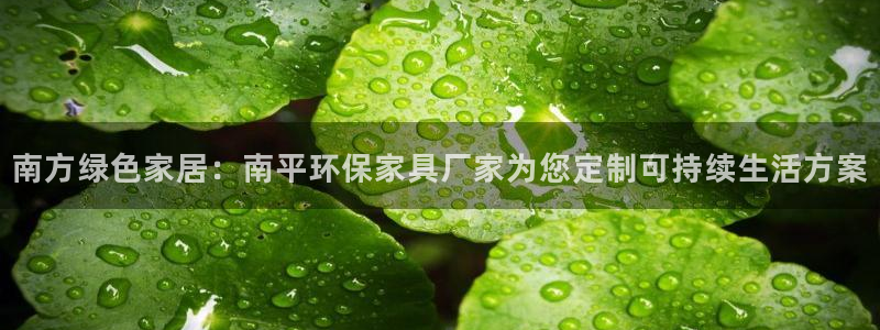 沐鸣2平台代理注册多少钱一年：南方绿色家居：南平环保家具厂家