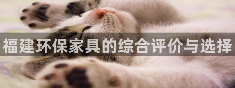 沐鸣2平台主管