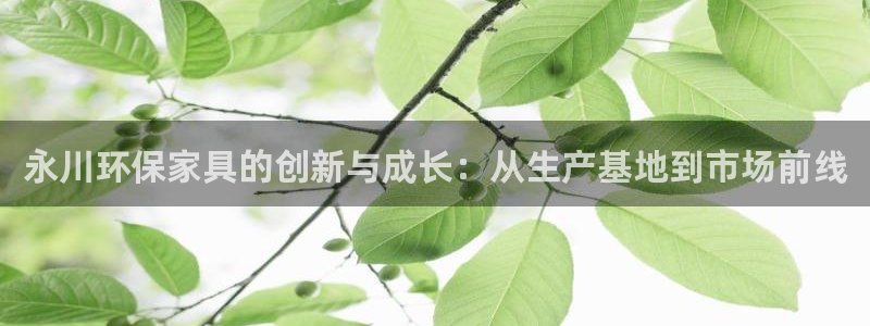 沐鸣2平台主管：永川环保家具的创新与成长：从生产基地到市场前