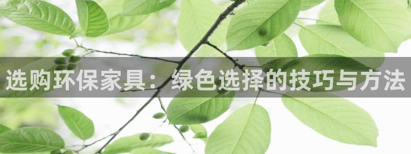 沐鸣2平台代理注册多少钱：选购环保家具：绿色选择的技巧与方法