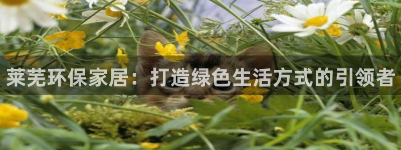 沐鸣2总代理：莱芜环保家居：打造绿色生活方式的引领者