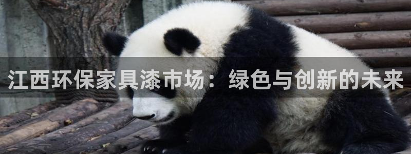 沐鸣2登入测速：江西环保家具漆市场：绿色与创新的未来