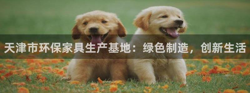 沐鸣2平台官方登陆：天津市环保家具生产基地：绿色制造，创新生