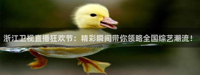 熊猫直播app下载：浙江卫视直播狂欢节：精彩瞬间带你领略全国综艺潮流！