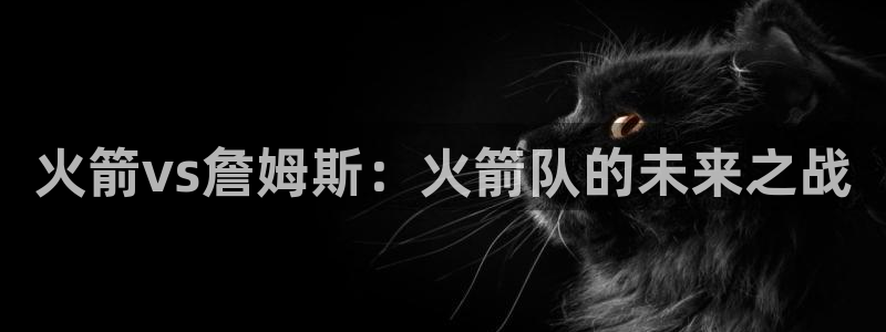 熊猫体育平台直播：火箭vs詹姆斯：火箭队的未来之战