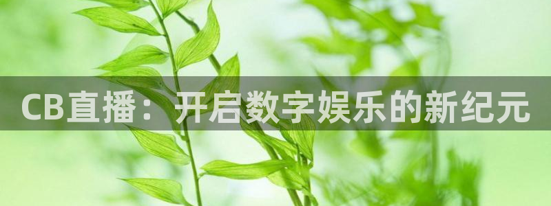 熊猫体育手机版下载：CB直播：开启数字娱乐的新纪元