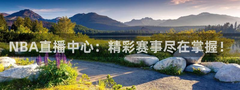 熊猫视频直播：NBA直播中心：精彩赛事尽在掌握！