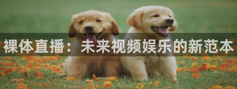 熊猫的视频：裸体直播：未来视频娱乐的新范本