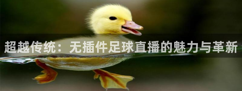 熊猫体育app下载：超越传统：无插件足球直播的魅力与革新