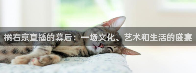 熊猫体育直播新版.新网页.org：橘右京直播的幕后：一场文化、艺术和生活的盛宴