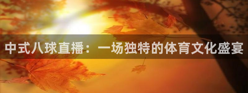 熊猫的视频：中式八球直播：一场独特的体育文化盛宴